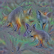 n02120079 Arctic fox, white fox, Alopex lagopus